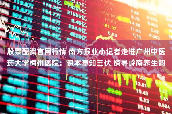 股票配资官网行情 南方报业小记者走进广州中医药大学梅州医院：识本草知三伏 探寻岭南养生韵